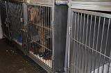 CAGE DE REPOS 003